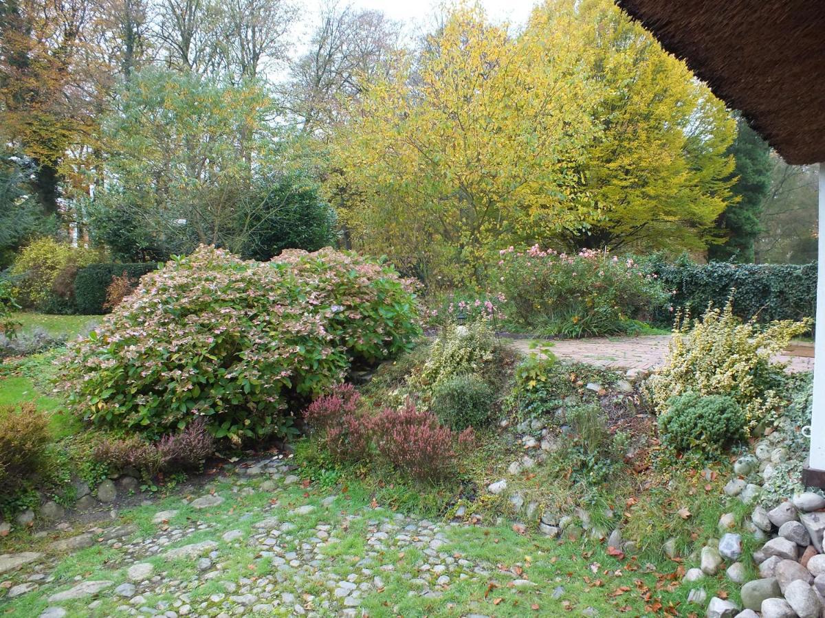 Taubenhof - Gut Cadenberge Hotell Exteriör bild